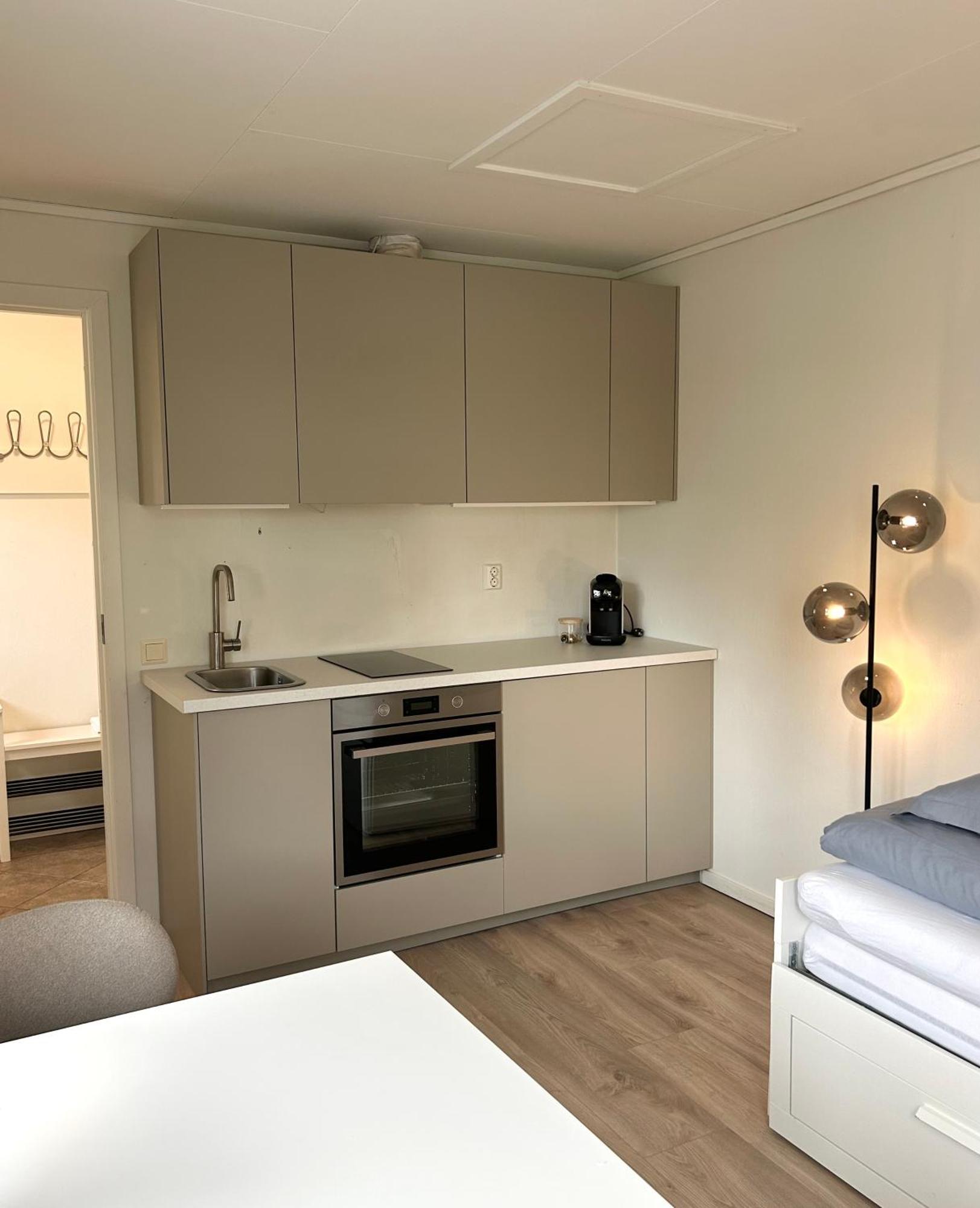 Newly Renovated Studio Apartment - Free Parking And Ev Docking ทรอนด์เฮม ภายนอก รูปภาพ